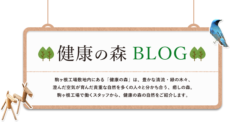 健康の森 BLOG
