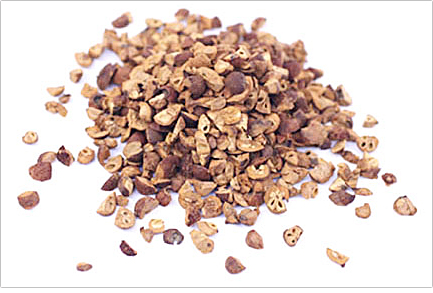 生薬のサンザシ(山査子)