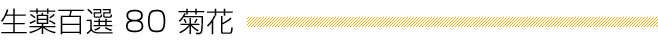 生薬百選 80 菊花