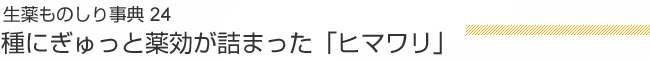 生薬ものしり事典 24 種にぎゅっと薬効が詰まった「ヒマワリ」