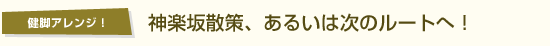 【健脚アレンジ！】神楽坂散策、あるいは次のルートへ！