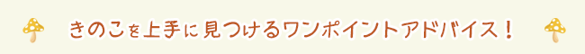 きのこを上手に見つけるワンポイントアドバイス！
