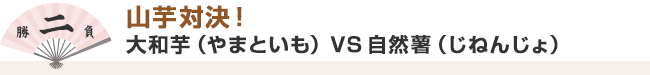 ２. 山芋対決！　大和芋（やまといも）VS自然薯（じねんじょ）