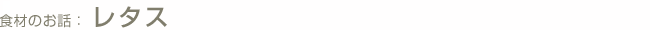 食材のお話: レタス