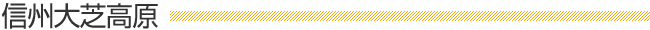 「信州大芝高原」