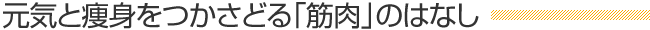 元気と痩身をつかさどる「筋肉」のはなし
