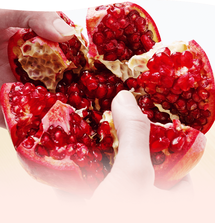 ざくろを割っている様子