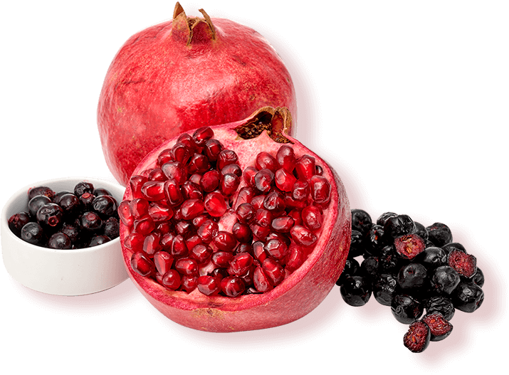 ざくろイメージ