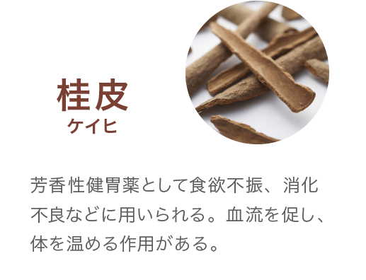 桂皮ケイヒ 芳香性健胃薬として食欲不振、消化不良などに用いられる。血流を促し、体を温める作用がある。