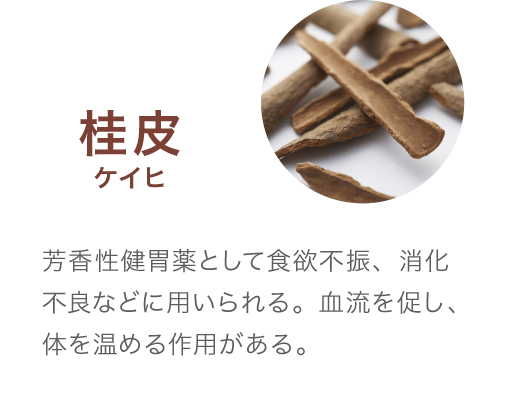 桂皮ケイヒ 芳香性健胃薬として食欲不振、消化不良などに用いられる。血流を促し、体を温める作用がある。