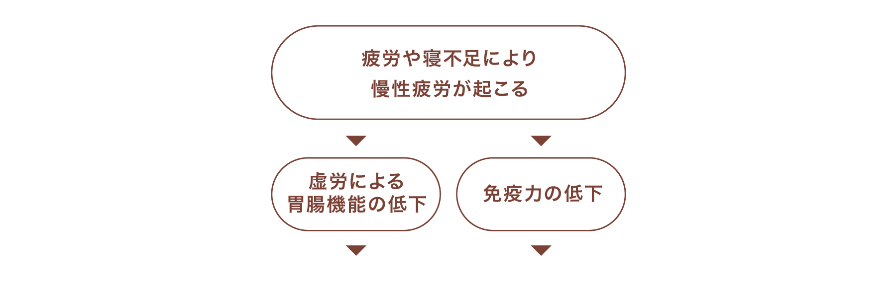 疲労や寝不足により慢性疲労が起こる⇒虚労による胃腸機能の低下・免疫力の低下⇒