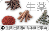 生薬と薬酒のなるほど事典